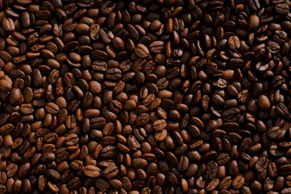 Java Version Support